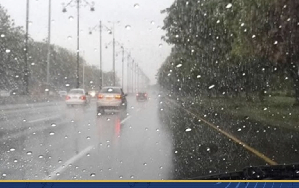 التضامن : فريق التدخل السريع يجري عملية مسح ميدانى بشوارع الإسكندرية