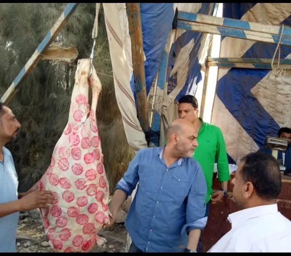 ضبط طن وربع لحوم ودواجن غير صالحة للاستهلاك الآدمي في المنوفية