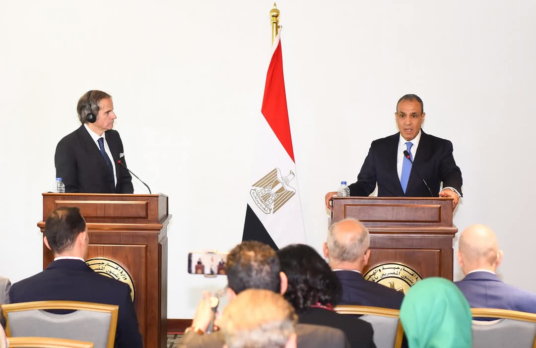 وزير الخارجية يلتقى  بالمدير العام للوكالة الدولية للطاقة الذرية