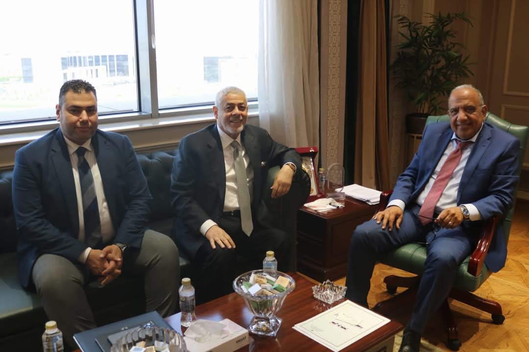 وزير الكهرباء يبحث مع شركة "AMEA POWER" الإماراتية التوسع فى محطات تخزين الطاقة