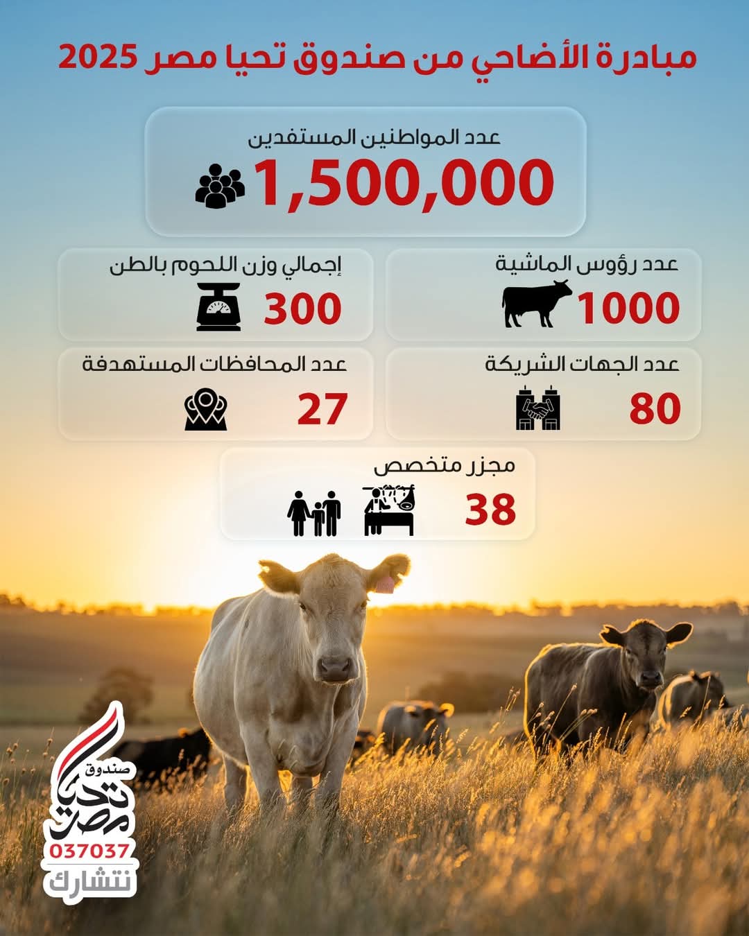 صندوق تحيا مصر فى بيوت الأولى بالرعاية خلال عيد الأضحى 