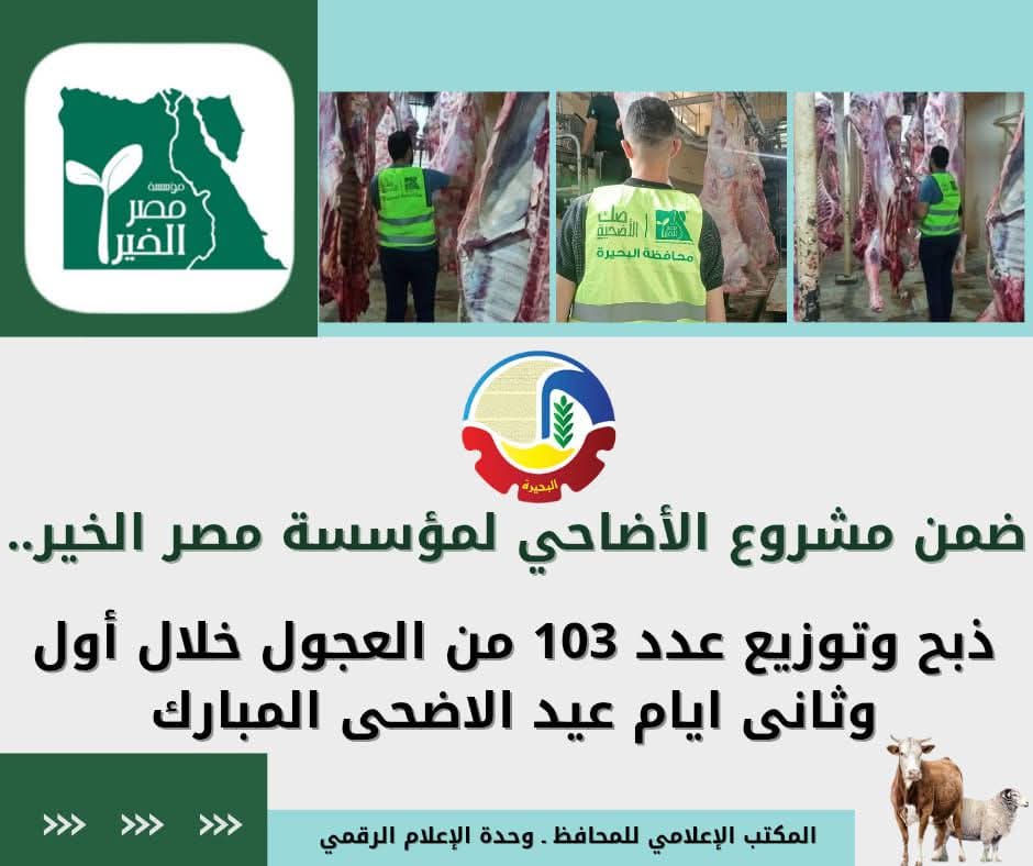 ذبح وتوزيع 103عجول خلال أول وثانى أيام عيد الأضحى المبارك.. بالبحيرة