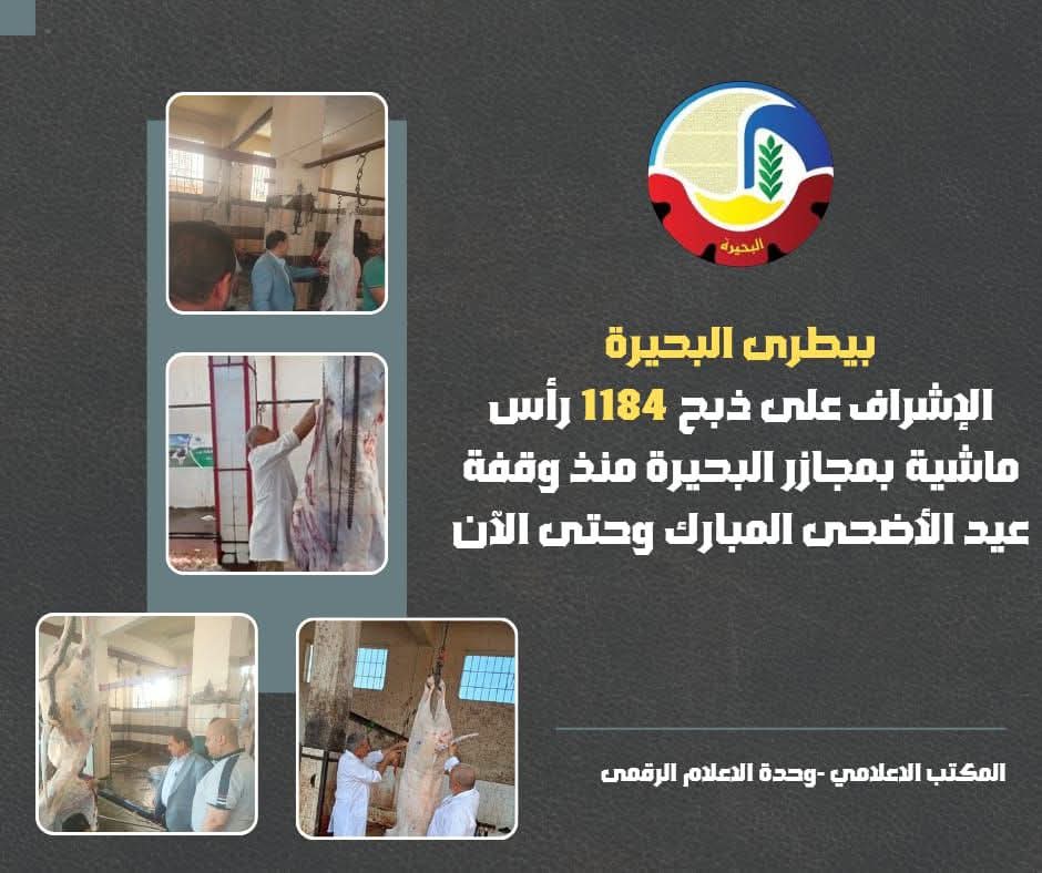 الإشراف على ذبح 1184 رأس ماشية بمجازر البحيرة