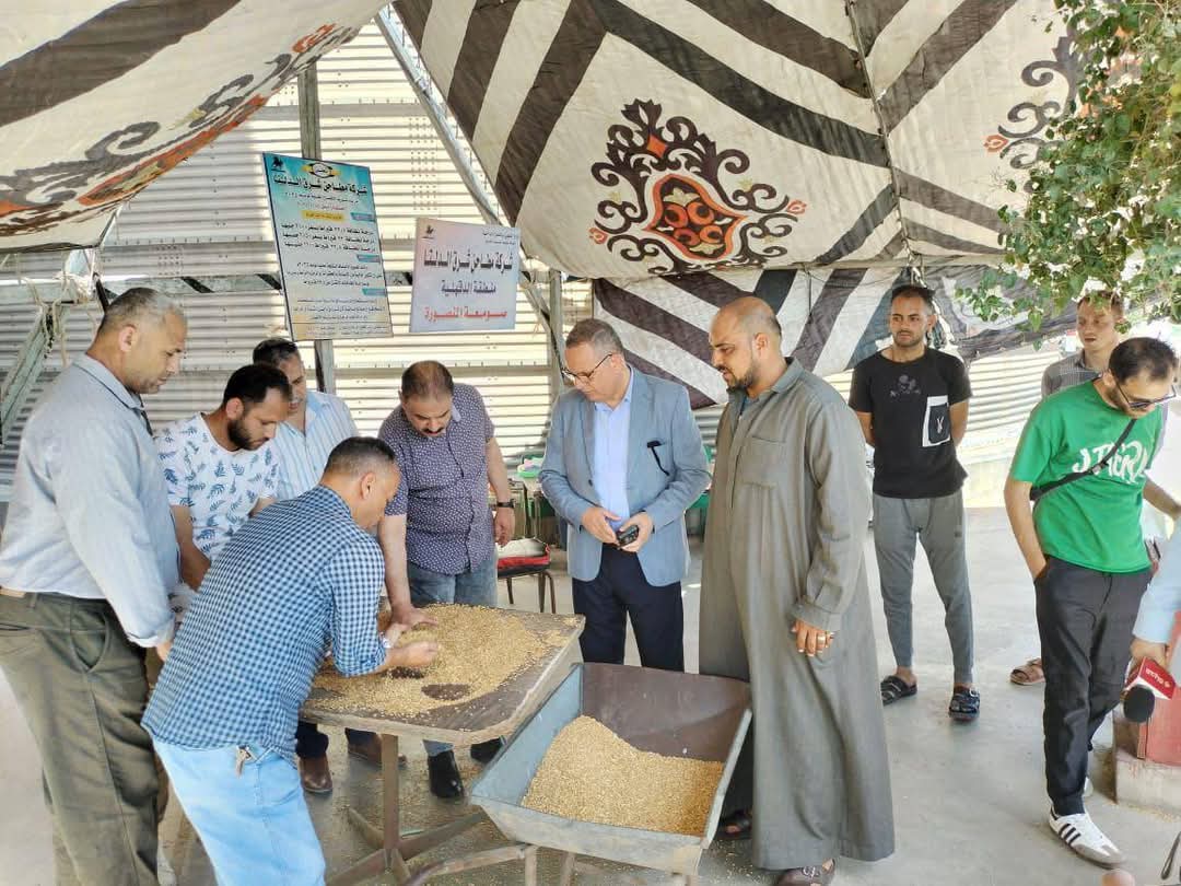 محافظ الدقهلية: توريد 271 ألف طن قمح حتى الآن 