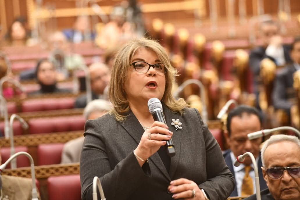 وكيلة "الشيوخ" : بيان الخارجية رسم حدودًا فاصلة بين نصرة الفلسطينيين ودعاوى الفوضى