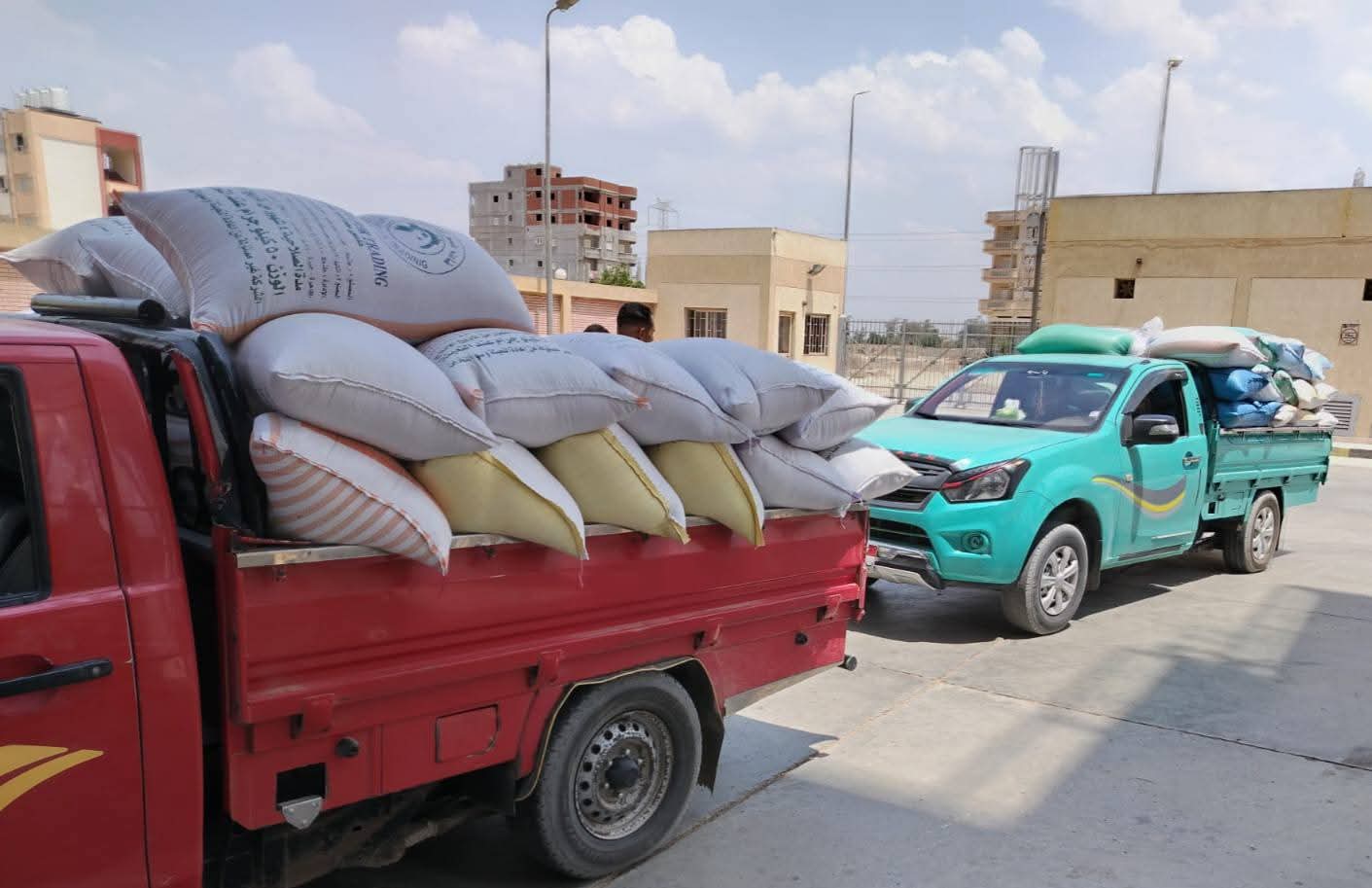 البحيرة تواصل توريد الذهب الأصفر..الشون  تستقبل أكثر من ٣١٠ آلاف طن قمح