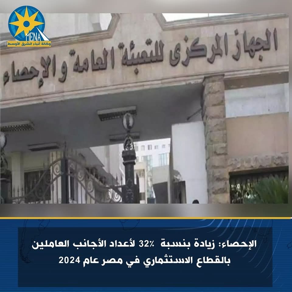 الإحصاء": 32% ارتفاعًا بعدد الأجانب الحاصلين على تراخيص للعمل بالقطاع الخاص والاستثماري خلال 2024