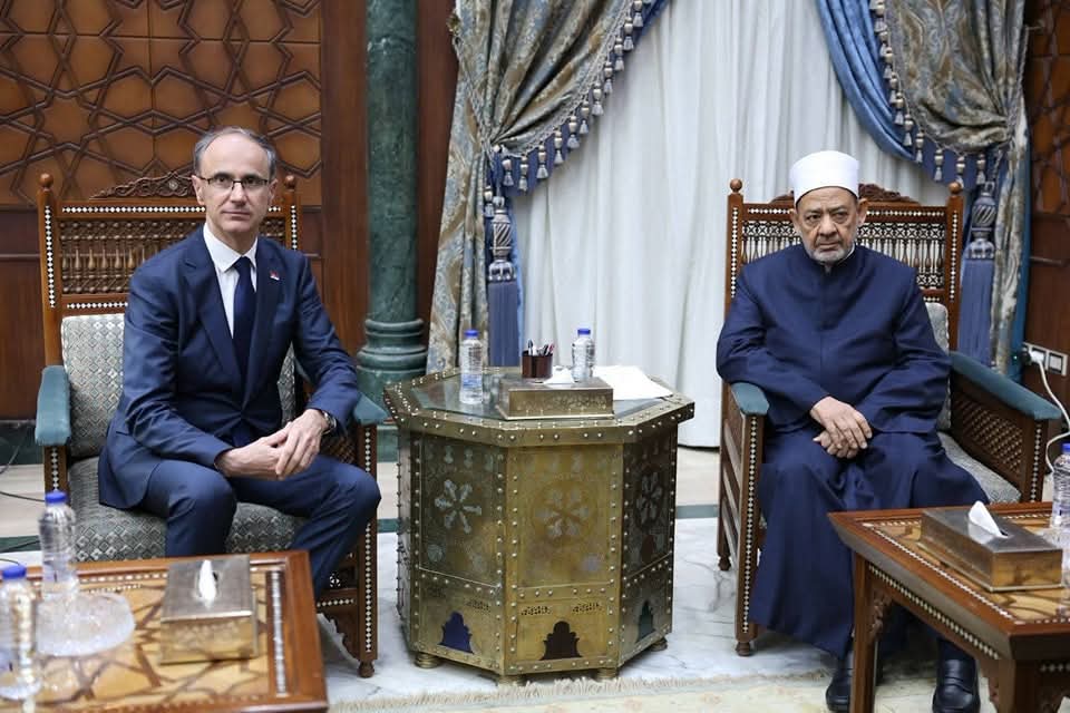 الإمام الأكبر يلتقى رئيس وزراء صربيا