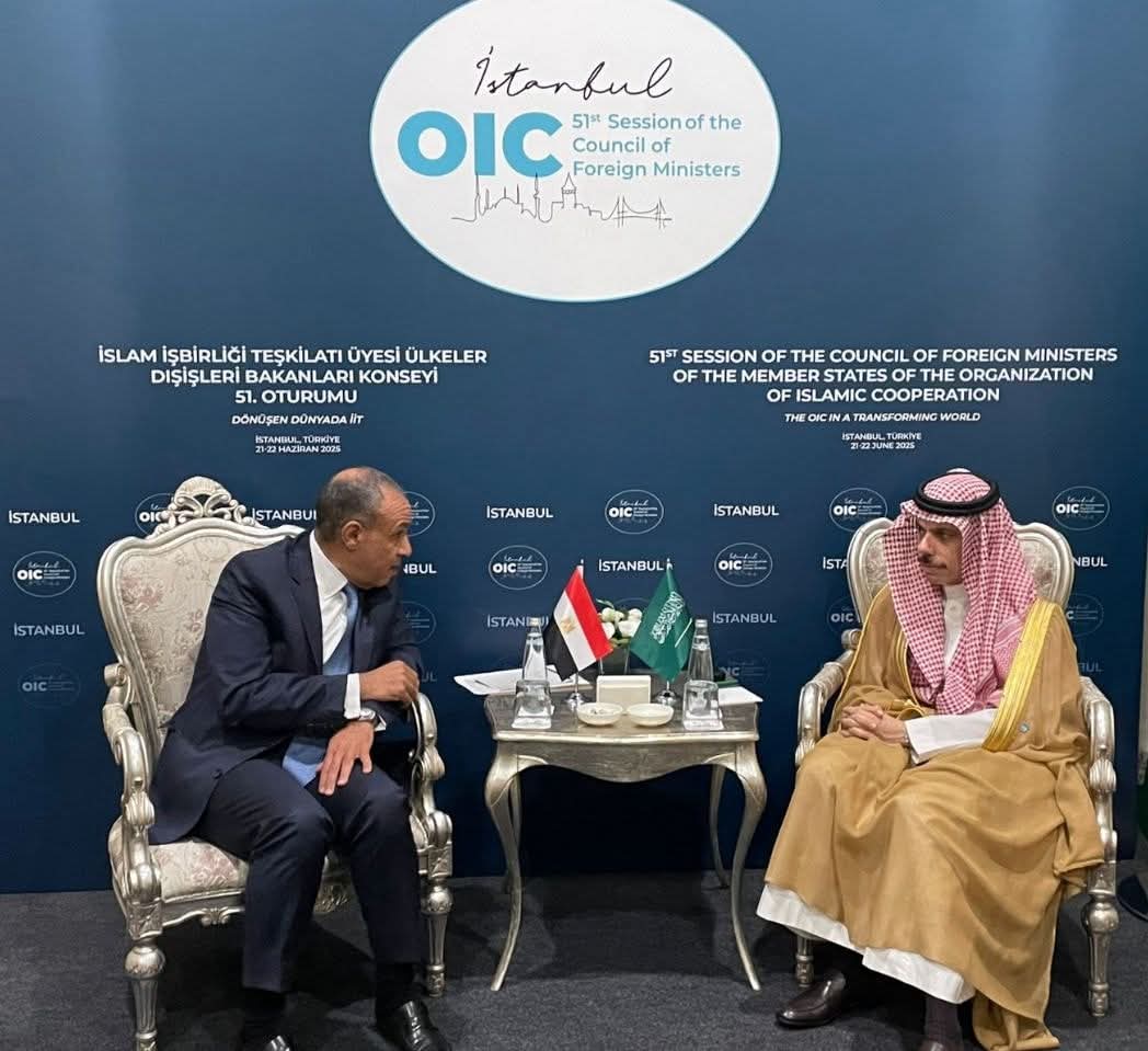 وزير الخارجية يلتقى بنظيره السعودى فى اسطنبول