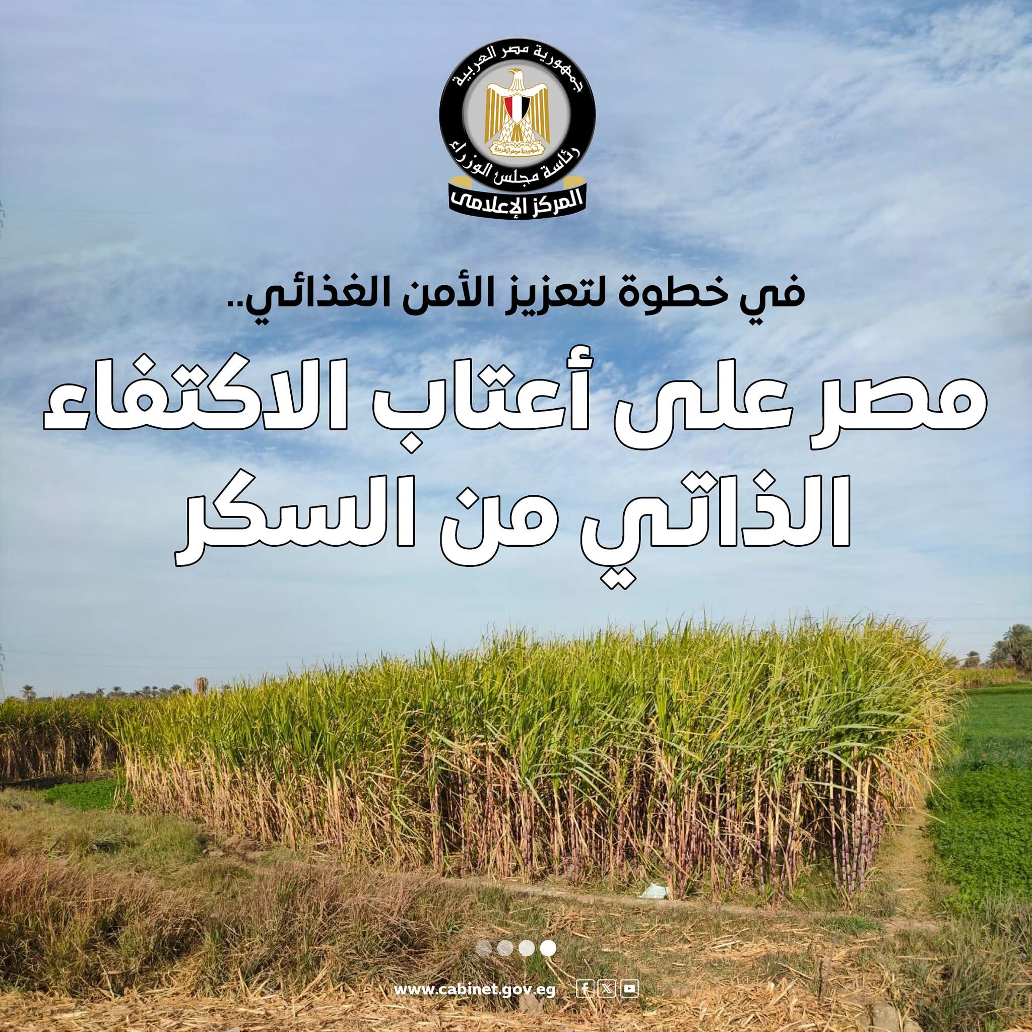 إعلام مجلس الوزراء: مصر على أعتاب الاكتفاء الذاتى من السكر
