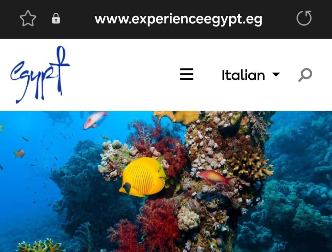 إضافة الإيطالية والفرنسية للموقع الإلكتروني الترويجي لهيئة تنشيط السياحة
