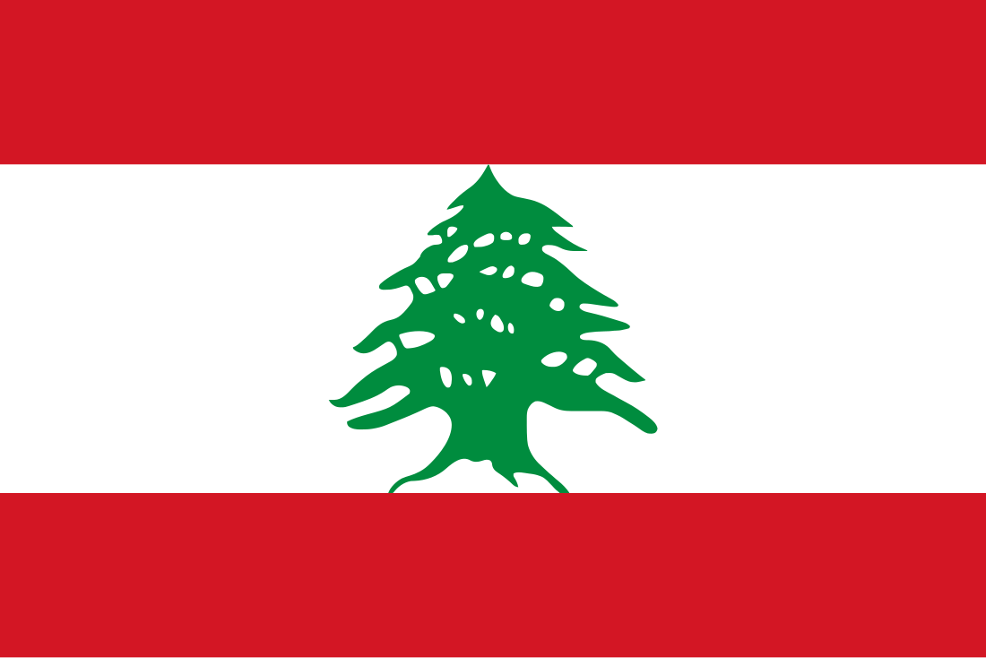 الجيش اللبناني .. يوقف أحد أبرز قياديي تنظيم داعش