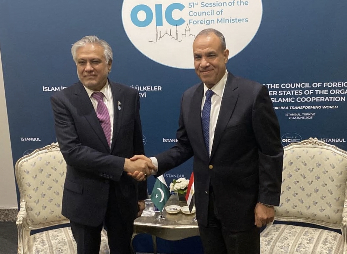 وزير الخارجية يلتقى بنظيره الباكستانى في اسطنبول 