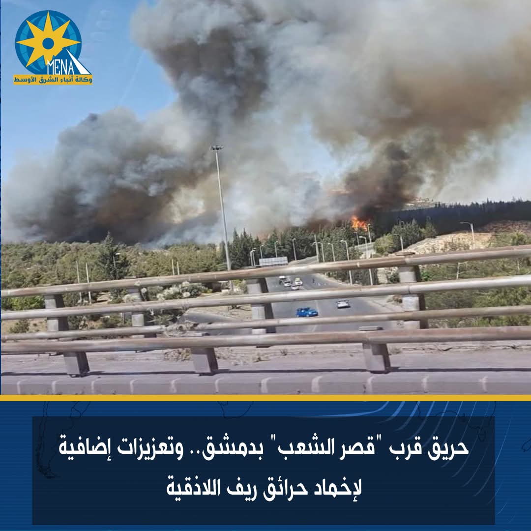 حريق قرب "قصر الشعب" بدمشق.. وتعزيزات إضافية لإخماد حرائق ريف اللاذقية