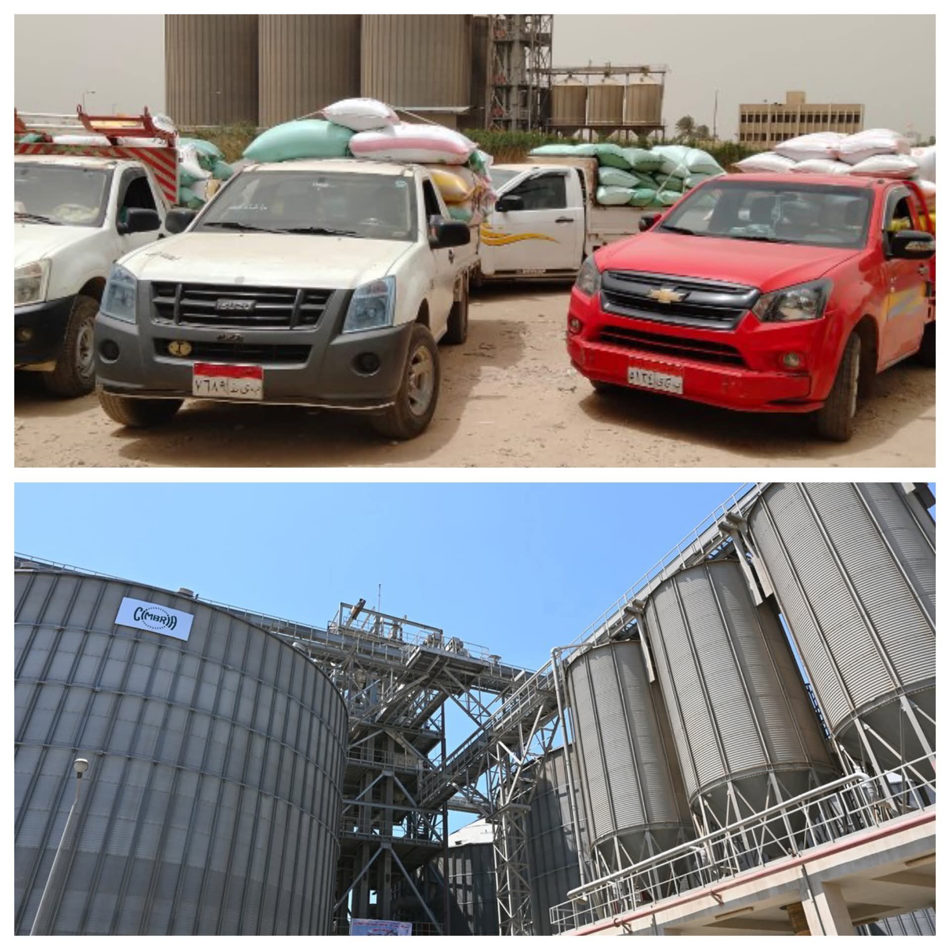 محافظة البحيرة تواصل إستلام القمح من المزارعين - الخبر لايف