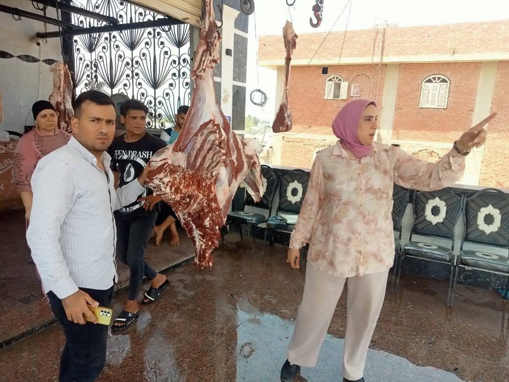 ضبط 1350كيلو لحوم ودجاج مخالف للمواصفات بالدقهلية 