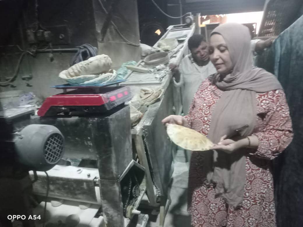 تحرير 103 محاضر وضبط 30 كيلو لحوم فى حملات تموينية بالدقهلية