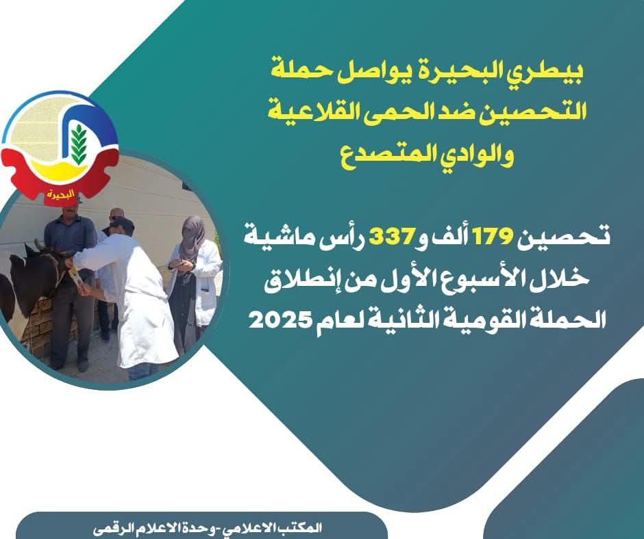 البحيرة..تحصين ١٧٩ ألفا و٣٣٧ رأس ماشية