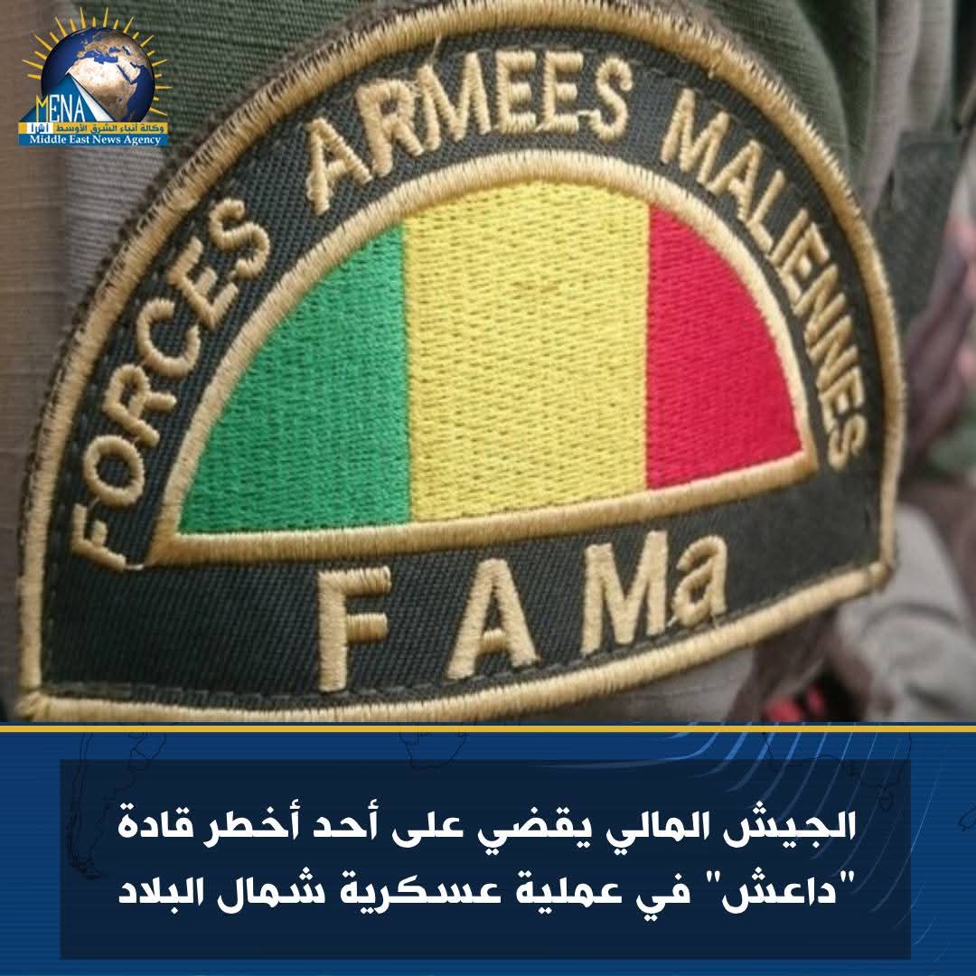 الجيش المالى يقضى على أحد أخطر قادة "داعش"