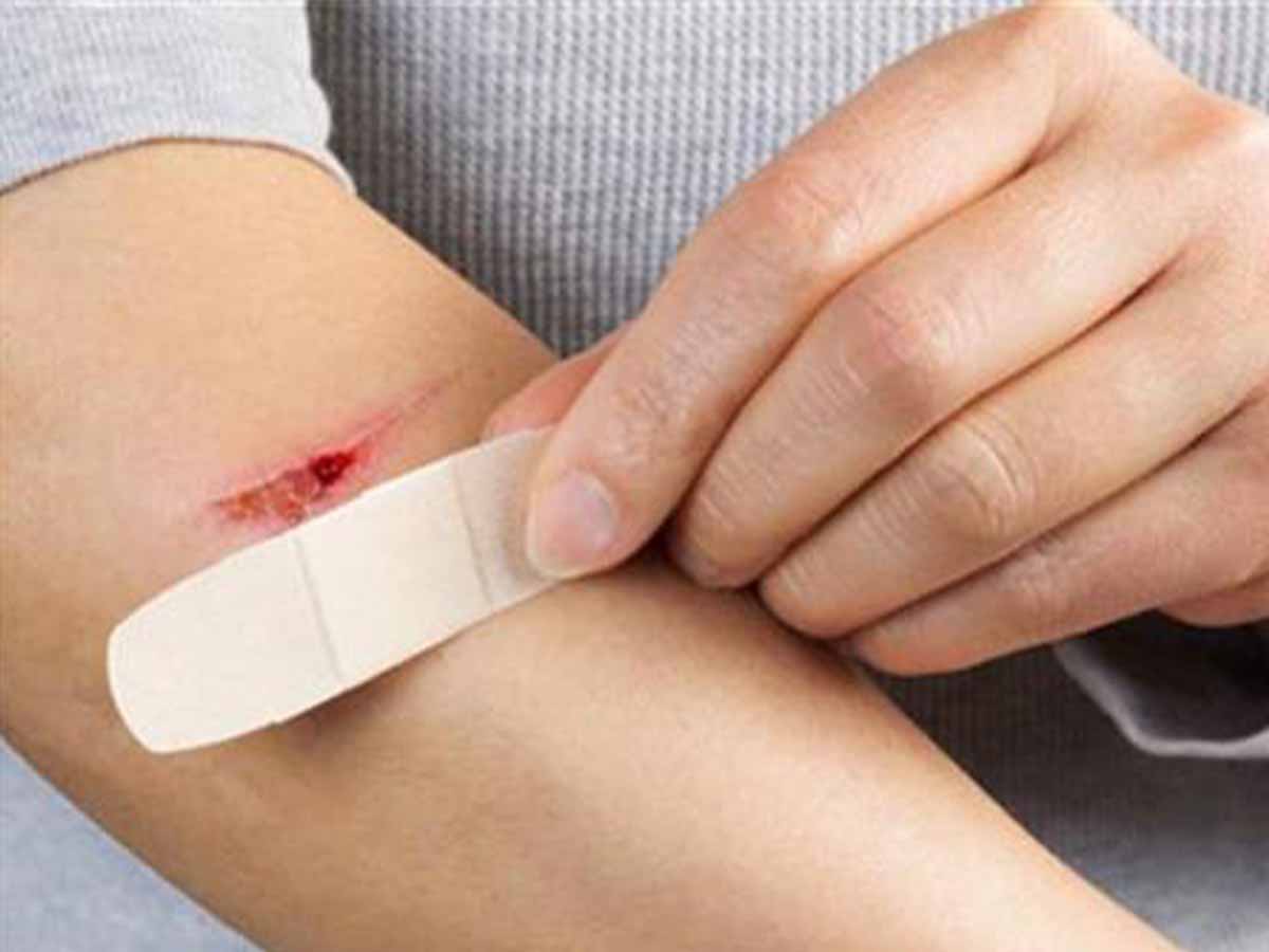 تقنية جديدة لتعزيز التئام الجروح .. باستخدام أنسجة أجنة الطيور