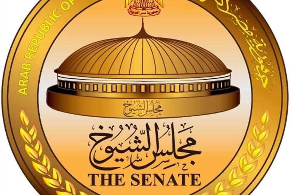 غدًا.. إعلان النتيجة الرسمية لانتخابات مجلس الشيوخ 2025