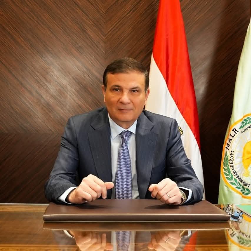 نجاح تجارب زراعة القطن في صحراء جنوب سيناء.. لأول مرة