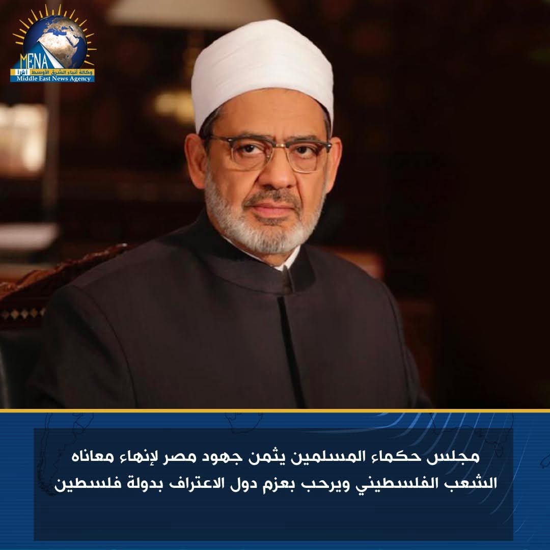 الإمام الأكبر يرحب بإعلان العديد من الدول الاعتراف بفلسطين