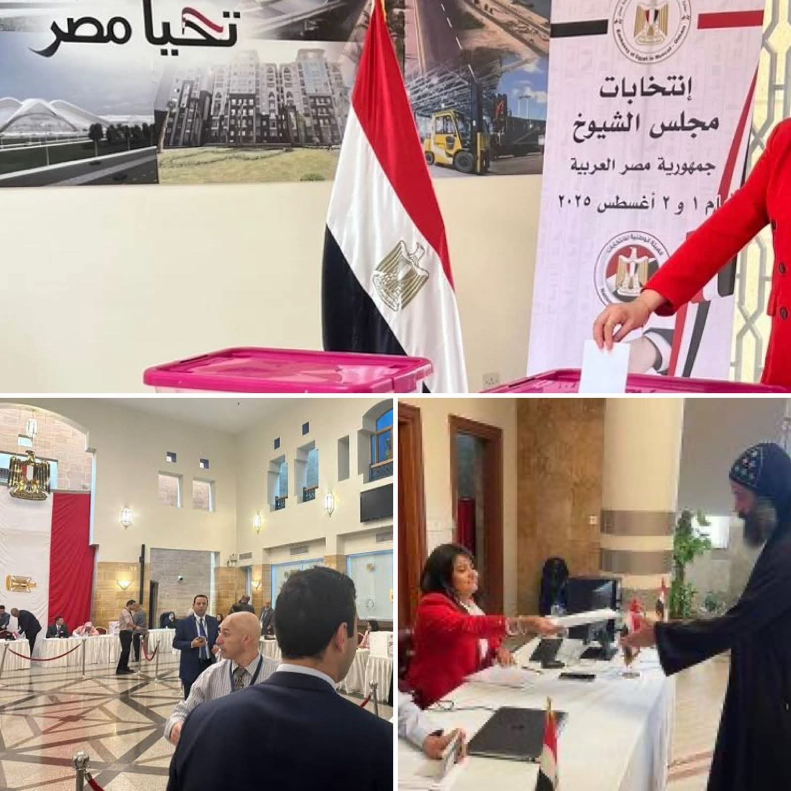 المصريون بالخارج يجددون انتماءهم للوطن عبر مجلس الشيوخ