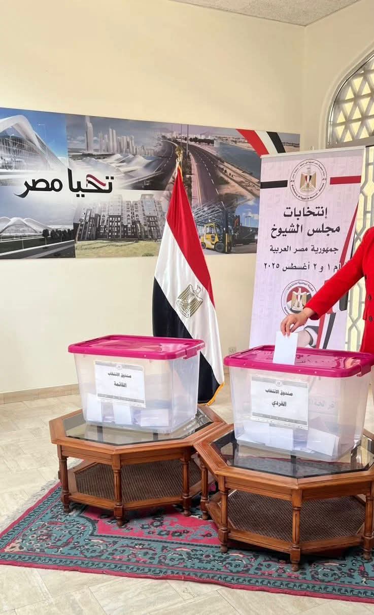 وزير الخارجية: انتخابات مجلسي الشيوخ والنواب ستسهم في تشكيل مستقبل مصر