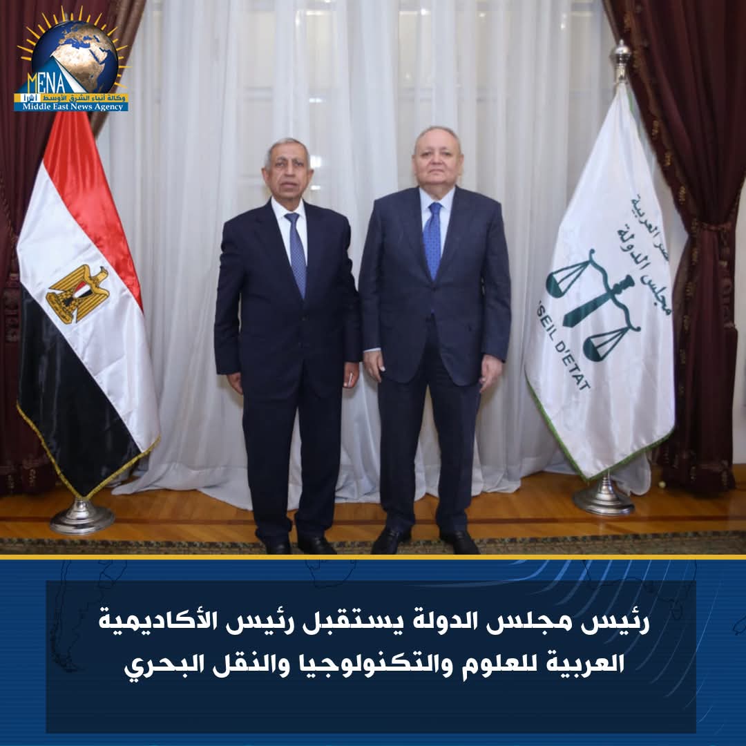 رئيس مجلس الدولة يلتقى د.اسماعيل عبد الغفار