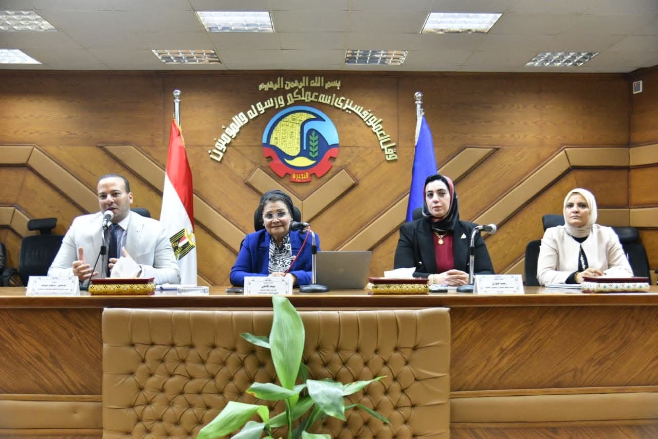 نائب وزير الصحة تترأس اجتماع المؤسسات العلاجية غير الحكومية.. بالبحيرة
