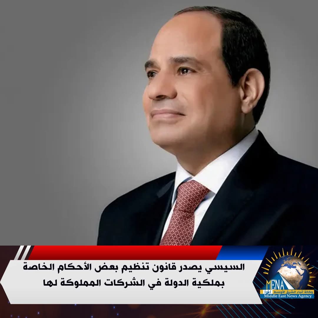 الرئيس يصدر قانون تنظيم بعض الأحكام الخاصة بملكية الدولة في الشركات المملوكة لها