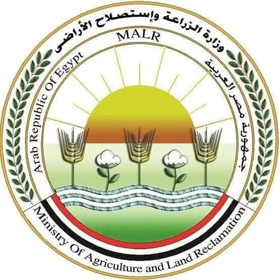 مركز البحوث الزراعية يتبرأ من إعلانات منتجات زيت الزيتون المتداولة على مواقع التواصل 