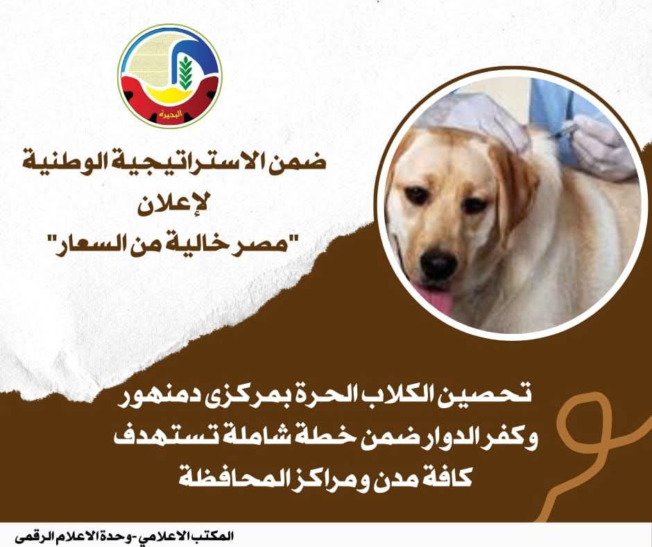 تحصين الكلاب الحرة بمركزى دمنهور وكفر الدوار