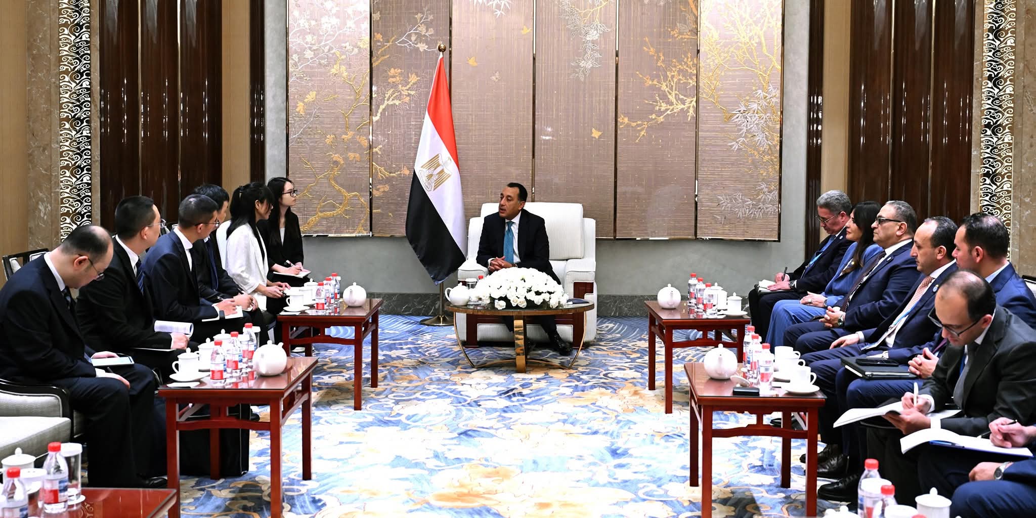 رئيس الوزراء يلتقي رئيسة شركة جيانغسو فينغهاي المحدودة لتطوير تحلية مياه البحر والطاقة الجديدة
