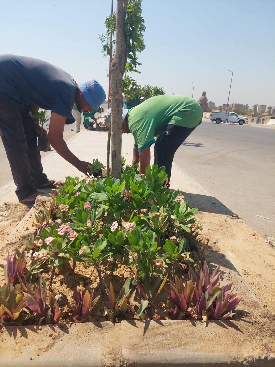 منال عوض : بدء أعمال زراعة محور صلاح سالم الجديد