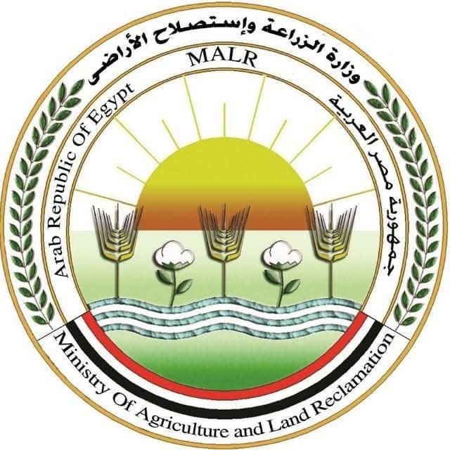 "الزراعة": دعوات الامتناع عن إطعام الكلاب الضالة سلوك مخالف للشرع والقانون