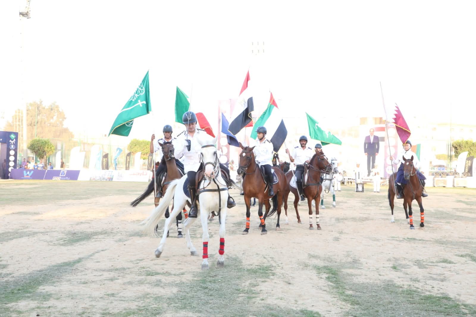 انطلاق مهرجان الخيول العربية الأصيلة.. بمحافظة الشرقية