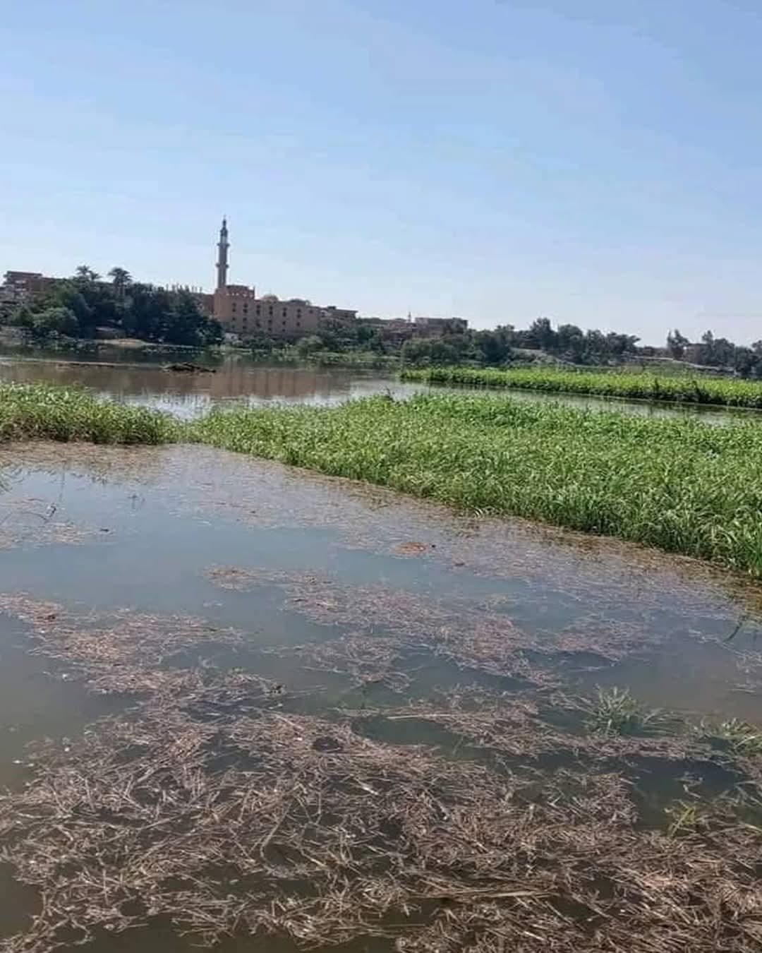 قنا ترفع حالة الطوارئ بعد ارتفاع منسوب النيل.. وتحذيرات بإخلاء المنازل وحظائر الماشية