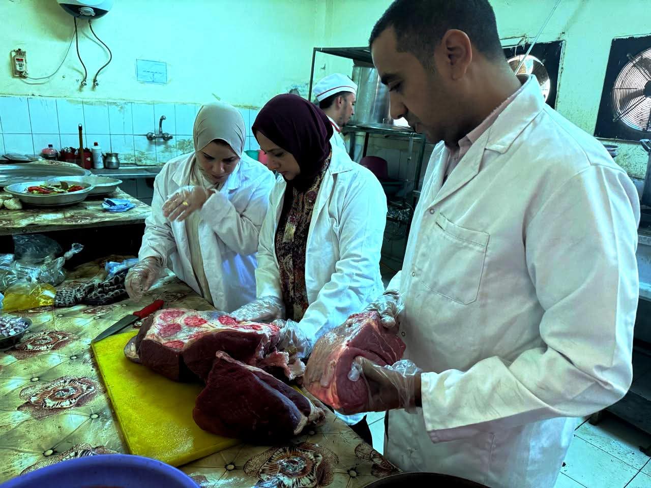 ضبط وتحريز 350 كيلو جرام لحوم ودواجن فاسدة بسوهاج