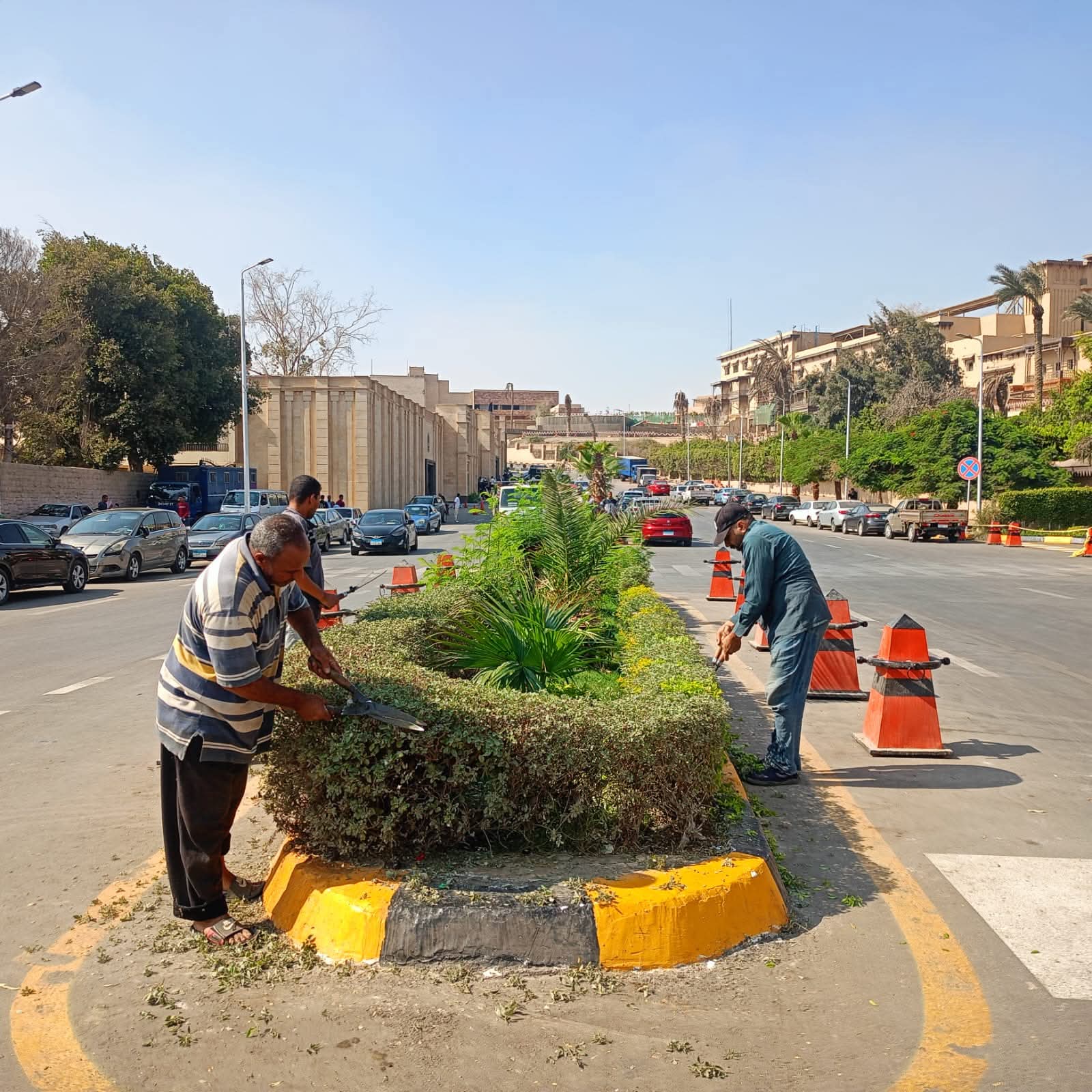 الجيزة .. طوارئ استعدادا لافتتاح المتحف المصري الكبير