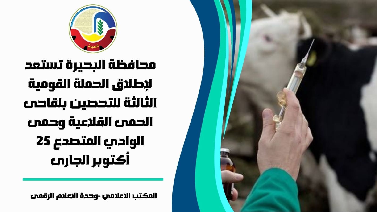 محافظة البحيرة تستعد لإطلاق الحملة القومية الثالثة لتحصين المواشي