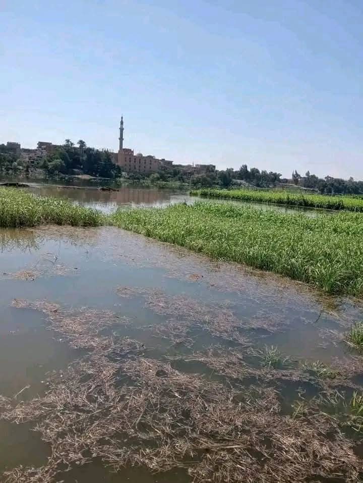 تحذيرات المحافظات للمزارعين بأراضي طرح النيل وإخلاء المنازل