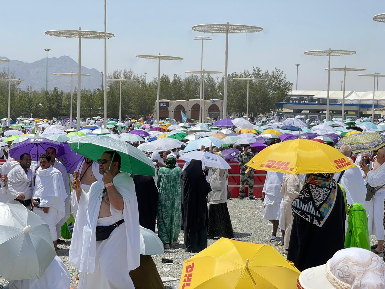 بالرقم القومي.. نتيجة قرعة حج الجمعيات الأهلية 2026 جميع المحافظات