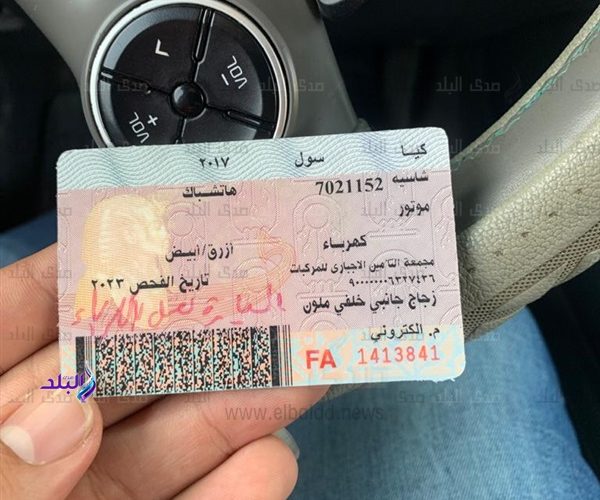 رابط تجديد رخصة القيادة إلكترونيا عبر موقع مصر الرقمية .. بخطوات بسيطة