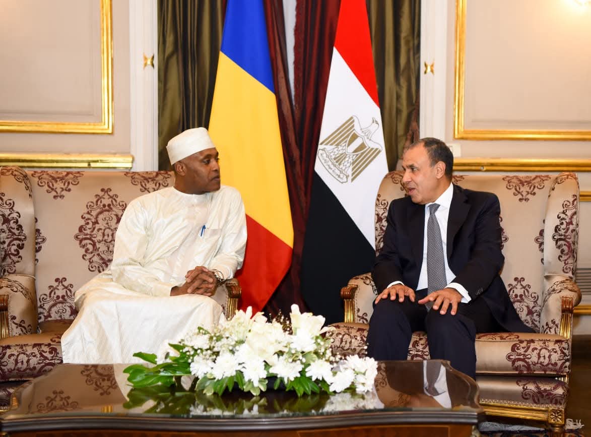وزير الخارجية يبحث مع نظيره التشادى الأوضاع فى منطقة الساحل والقرن الأفريقى والسودان 