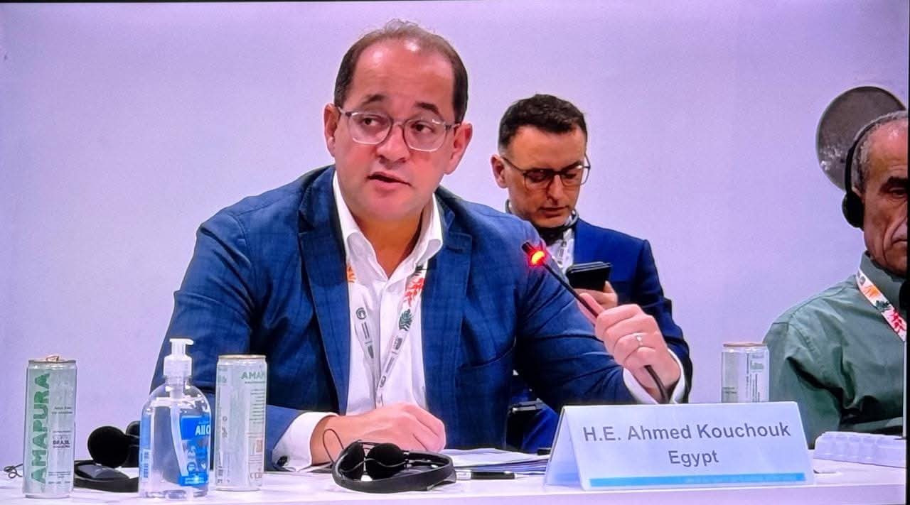 كجوك..من البرازيل: مصر تستثمر في المستقبل.. بمشروعات تنموية أكثر استدامة وتكيفًا مع المناخ 