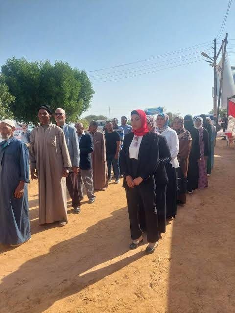 تعرف على الدوائر الانتخابية الملغاة فى محافظة الوادى الجديد