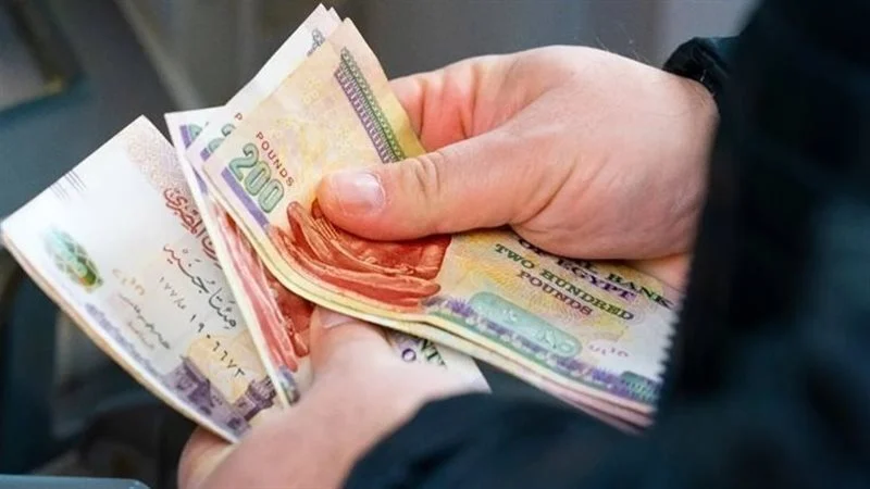 رابط الاستعلام على منحة العمالة غير المنتظمة 2026