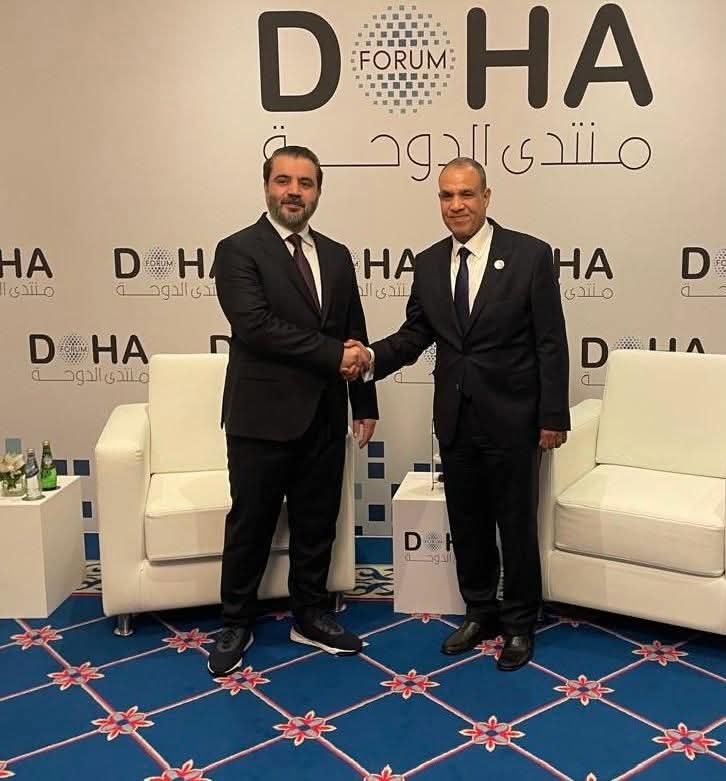 وزير الخارجية: نرفض أى اعتداءات إسرائيلية تستهدف الأراضي السورية